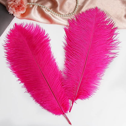 THARAHT Hot Pink Ostrich Feathers 12pcs Large Natural Bulk 12-14Inch 30cm-35cm for Wedding Party Centerpieces Easter Gatsbi and Home Decoration Feathers