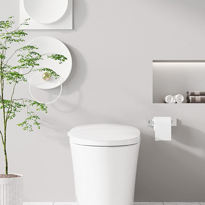 Ruacq Toilet Paper Holder Chrome Double Post Pivoting Square Tissue Holders Roll Holder Hangers Toilet Paper Stand Stainless Steel and Zinc Alloy Modern Wall Mounted