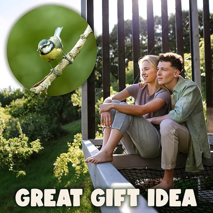 SWISSINNO No Mess Bird Feeder Lucerne Smart Birds for Fat Balls - Feed Birds, not mice & Rats! Robust & Reliable for Hanging - Green