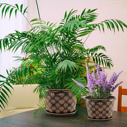 8 Inch Planter Pots for Plants, Plastic Flower Pots Indoor Outdoor, 5 Pack Resin Plant Pot with Drainage & Saucer, Retro Decorative Garden Pot with Removable Trays for House