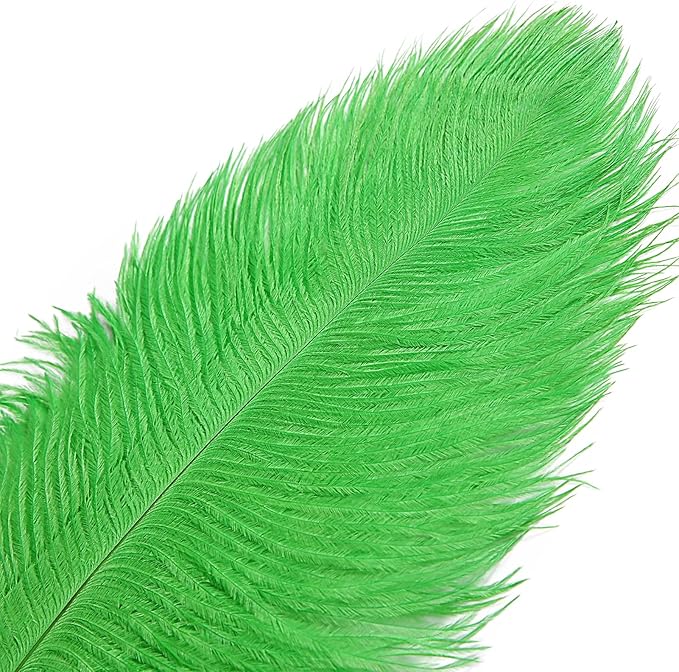 THARAHT Green Ostrich Feathers 12pcs Large Natural Bulk 14-16Inch 35cm-40cm for Wedding Party Centerpieces Mardi Gras and Home Decoration Feathers