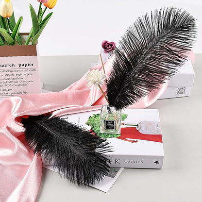 THARAHT Black Ostrich Feathers 12pcs Natural Bulk 8-10Inch 20cm-25cm for Crafts Wedding Party Centerpieces Halloween and Home Decoration Feathers