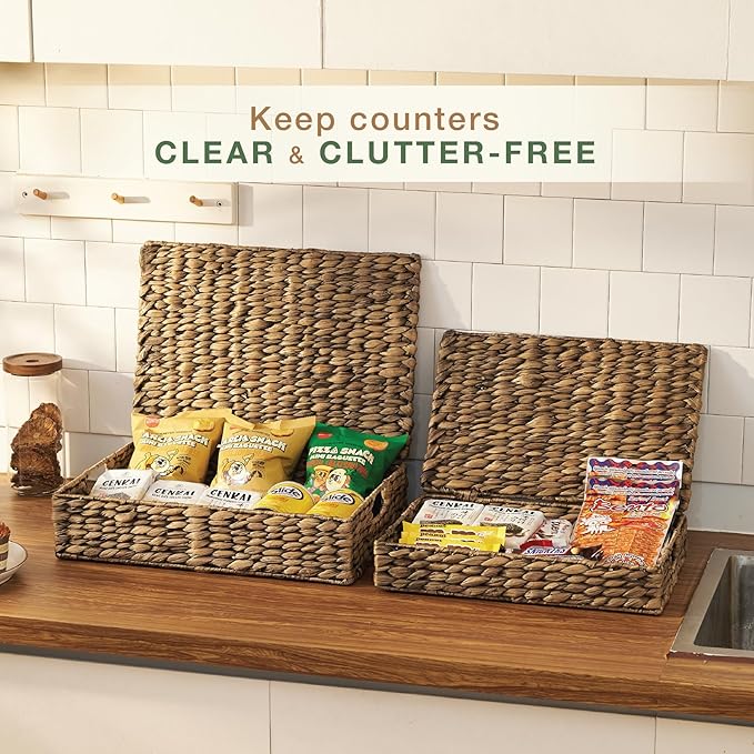 Set of 2 Decorative Storage Boxes With Lids for Home Decor, Shelves