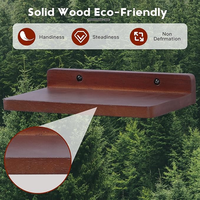 Small Floating Shelves for Wall,5x8.5 Inches Wall Shelf Set of 3,Display Shelf for Bedroom, Bathroom, Kitchen Decor (Dark Walnut)