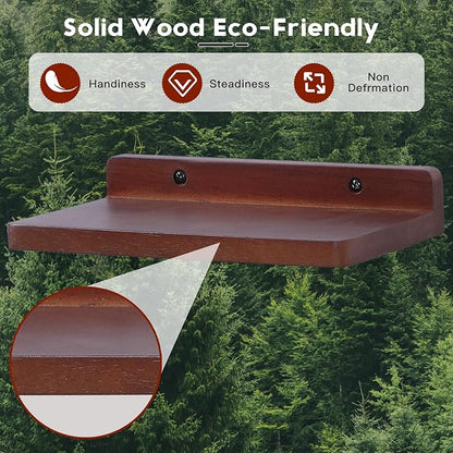 Small Floating Shelves for Wall,5x8.5 Inches Wall Shelf Set of 3,Display Shelf for Bedroom, Bathroom, Kitchen Decor (Dark Walnut)