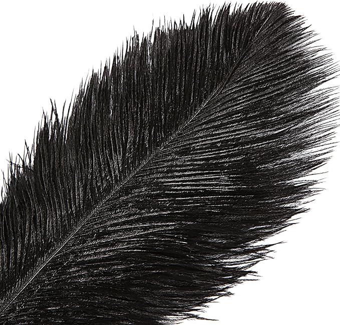 THARAHT Black Ostrich Feathers 12pcs Large Natural Bulk 14-16Inch 35cm-40cm for Wedding Party Centerpieces Halloween and Home Decoration Feathers