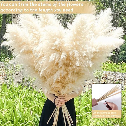 40" 22PCS Dried Pampas Grass Decor Tall,Large Natural Beige pompas Grass Tall Pampas Grass for Floor Vase,Wedding,Party,Farmhouse,Boho Home Decor,and Creating a Bohemian Ambiance