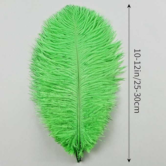 THARAHT Green Ostrich Feathers 24pcs Natural Bulk 10-12Inch 25cm-30cm for Crafts Wedding Party Centerpieces Mardi Gras and Home Decoration Feathers