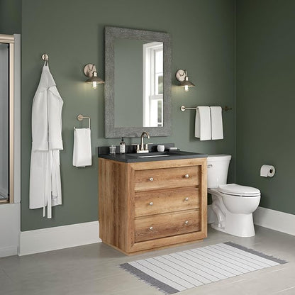 Delta Trinsic (1-Pack) Toilet Paper Holder Brilliance Stainless Steel Tissue Roll Holder for Bathroom Organization and Storage Single Post Toilet Tissue Holder Wall Bathroom Accessories 75950-SS