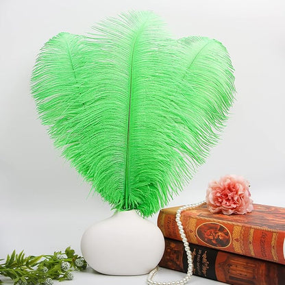 THARAHT Green Ostrich Feathers 12pcs Large Natural Bulk 14-16Inch 35cm-40cm for Wedding Party Centerpieces Mardi Gras and Home Decoration Feathers