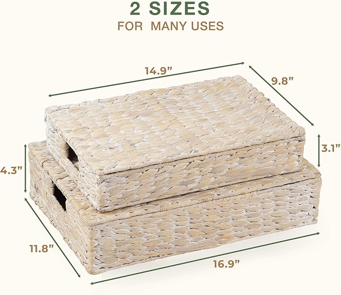 Set of 2 Decorative Storage Boxes With Lids for Home Decor, Shelves