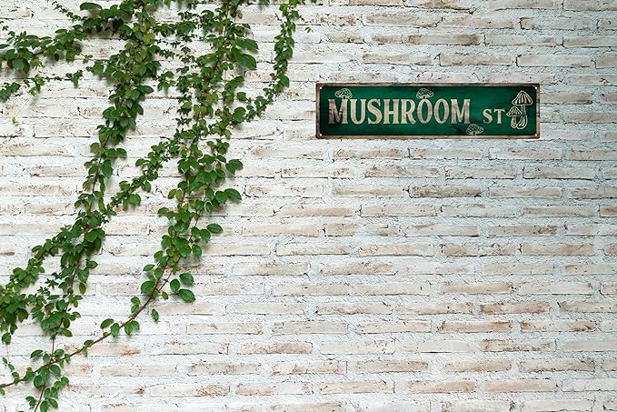 Vintage Tin Sign Retro Metal Mushroom St Signs Stylish Wall Art Plaques for Home Decor Bathroom Kitchen House and Gothic Wall Decor or as a Unique Poster 16x4 in