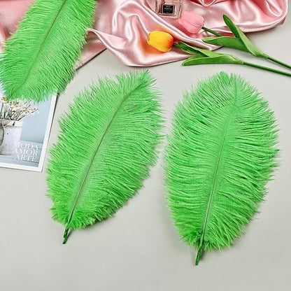 THARAHT Green Ostrich Feathers 12pcs Natural Bulk 10-12Inch 25cm-30cm for Crafts Wedding Party Centerpieces Mardi Gras and Home Decoration Feathers