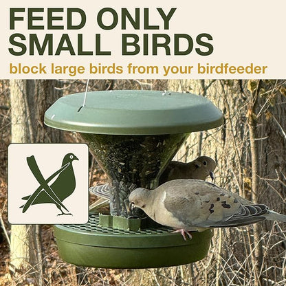 SWISSINNO Big Bird Blocker Ring, Transparent, Prevent Pigeons, Crows and Other unwanted Large Birds Scaring Away Smaller Birds, for Smart Bird Feeder Davos