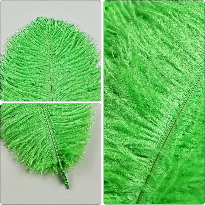 THARAHT Green Ostrich Feathers 12pcs Natural Bulk 8-10Inch 20cm-25cm for Crafts Wedding Party Centerpieces Mardi Gras and Home Decoration Feathers