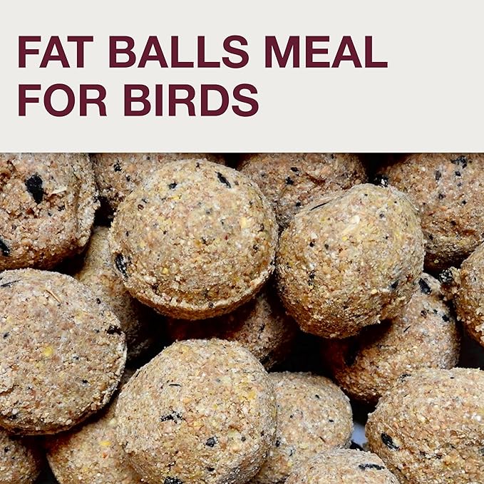 SWISSINNO No Mess Bird Feeder Lucerne Smart Birds for Fat Balls - Feed Birds, not mice & Rats! Robust & Reliable for Hanging - Light Grey