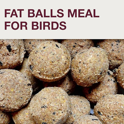 SWISSINNO No Mess Bird Feeder Lucerne Smart Birds for Fat Balls - Feed Birds, not mice & Rats! Robust & Reliable for Hanging - Light Grey