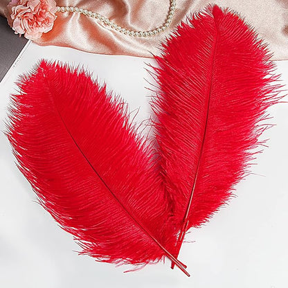 THARAHT Red Ostrich Feathers 12pcs Large Natural Bulk 14-16Inch 35cm-40cm for Wedding Party Centerpieces Halloween and Home Decoration Feathers