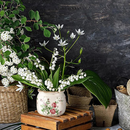 Vintage Planter Large Ceramic Plants Pot Beige Pink French Rose Ice Crack Cottage Scroll Vase Flower Vase Pot Indoor Plants Home Kitchen Decor Farmhouse Antique Decorative Gifts